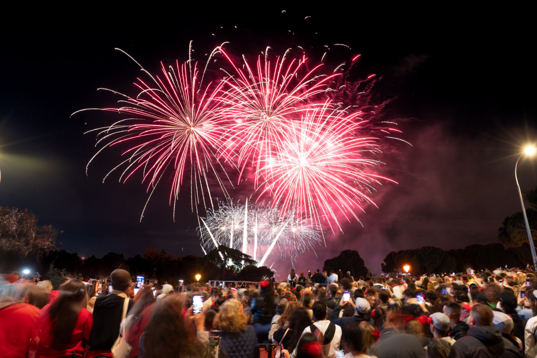 Fuegos Artificiales